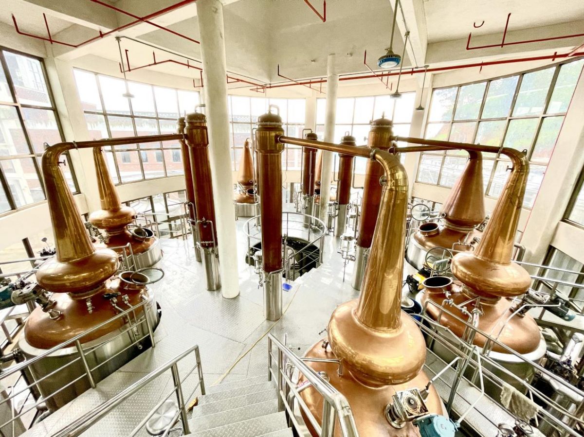 平和大溪 革命精神照亮老區“振興路”，酒香四溢譜新篇