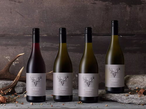 品味藝術 探索國外精品酒類、飲料及茶葉的包裝設計美學